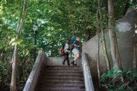 Side view of active multiracial travelers walking upstairs in green park in sunny day