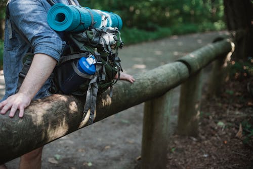 Crop man with backpack in forest