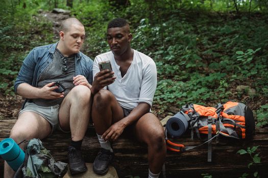 Full body of concentrated multiracial male hikers surfing internet while resting on old brown horizontal log in forest in daytime