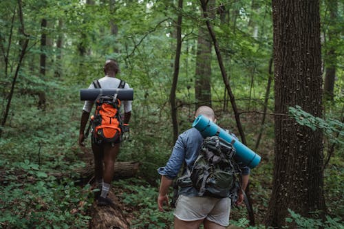 Backpackers Senza Volto Che Camminano Sulla Terra Nella Foresta