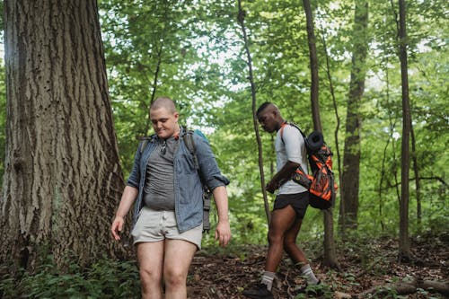 Petualang Multietnis Muda Berjalan Di Atas Tanah Di Hutan