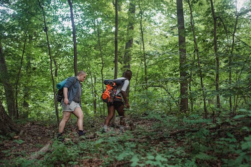 Backpacker Multietnis Muda Di Hutan