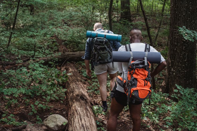 Faceless Tourists Walking Up In Forest In Daytime