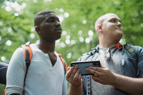 Free Low angle of multiethnic young male tourists checking route on cellphone while having adventure in woods Stock Photo