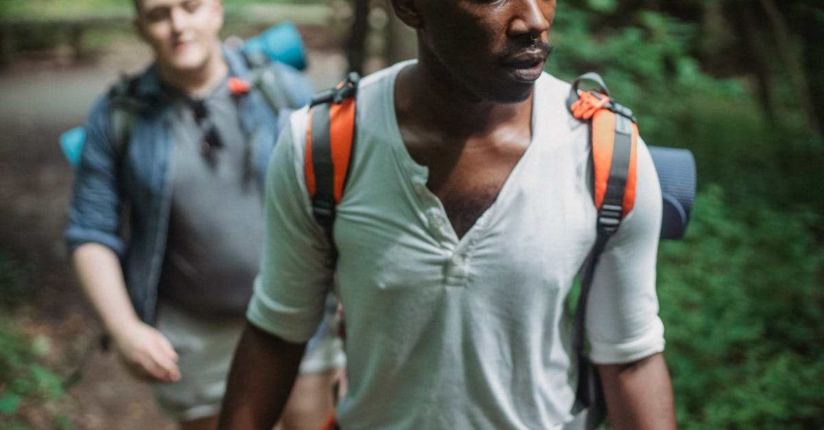 A group of friends hiking up a scenic mountain trail on a sunny day.