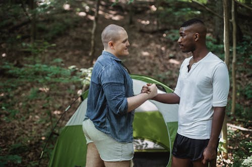 Free Positive bald guy giving hand shake to black friend while standing in forest near tent on sunny day Stock Photo