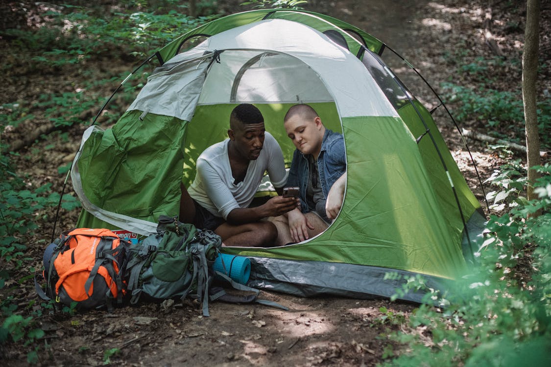 African American man showing images in smartphone to bald friend during camping in tent on sunny summer weather