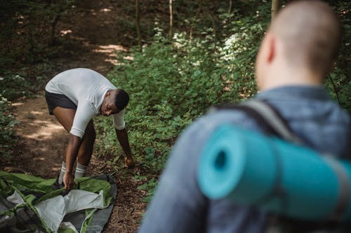 Serious African American male bending down to set up green tent for rest after expedition with friend in forest on summer