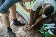 两个朋友在郁郁葱葱的森林里合作搭起露营帐篷，享受夏日冒险