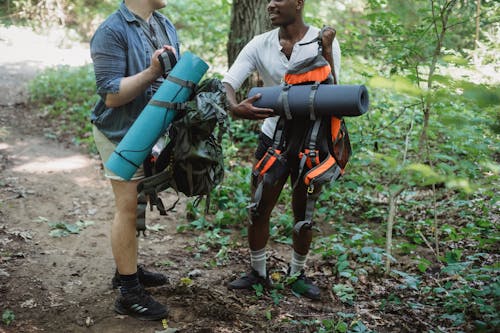 Crop anonymous diverse male hiker with rucksacks standing on footpath in green woodland while travelling together