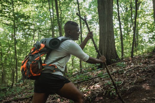 Side view of black young man with backpack climbing with tree branch among green woods on sunny summer day