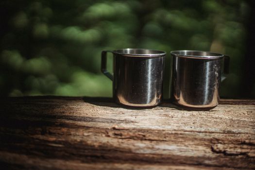 Pair of metal mugs on tree trunk in woods