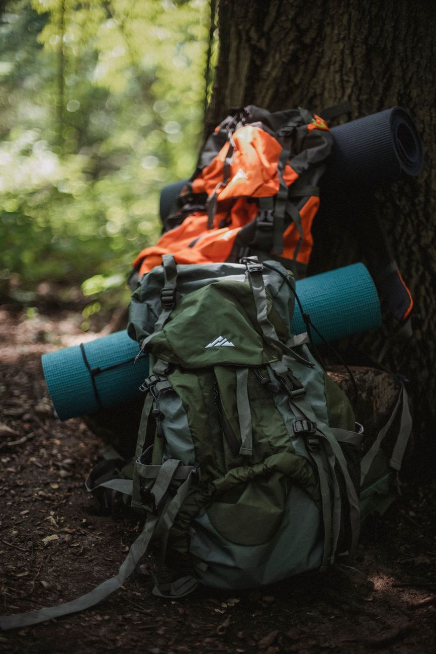 Rucks cke Mit Wandermatten Nahe Baum Im Wald Kostenloses Stock Foto rucks-cke-mit-wandermatten-nahe-baum-im-wald-kostenloses-stock-foto