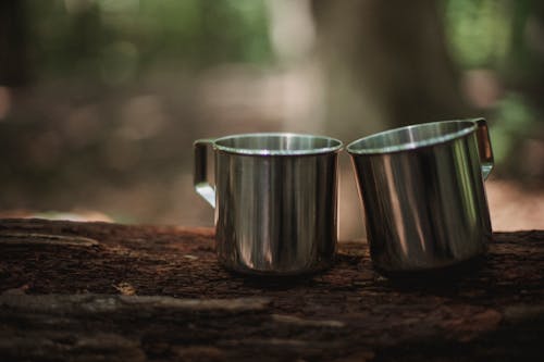 Free Pair of shiny hiking mugs on dry tree trunk in summer forest on blurred background Stock Photo