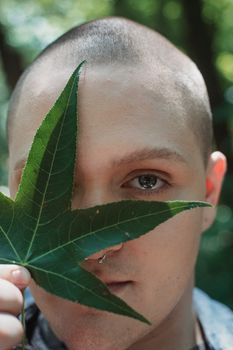 一个严重秃顶的年轻男子，在阳光明媚的日子里，用榛树的绿叶遮住鼻子，看向镜头