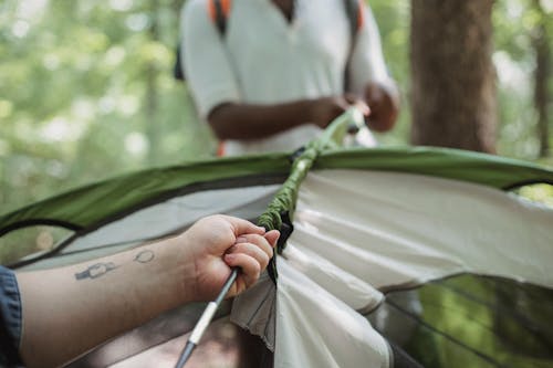 Crop multiracial friends setting up tent in woods