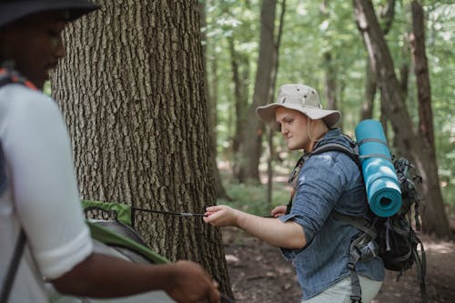 Crop diverse backpackers setting up tent in woods