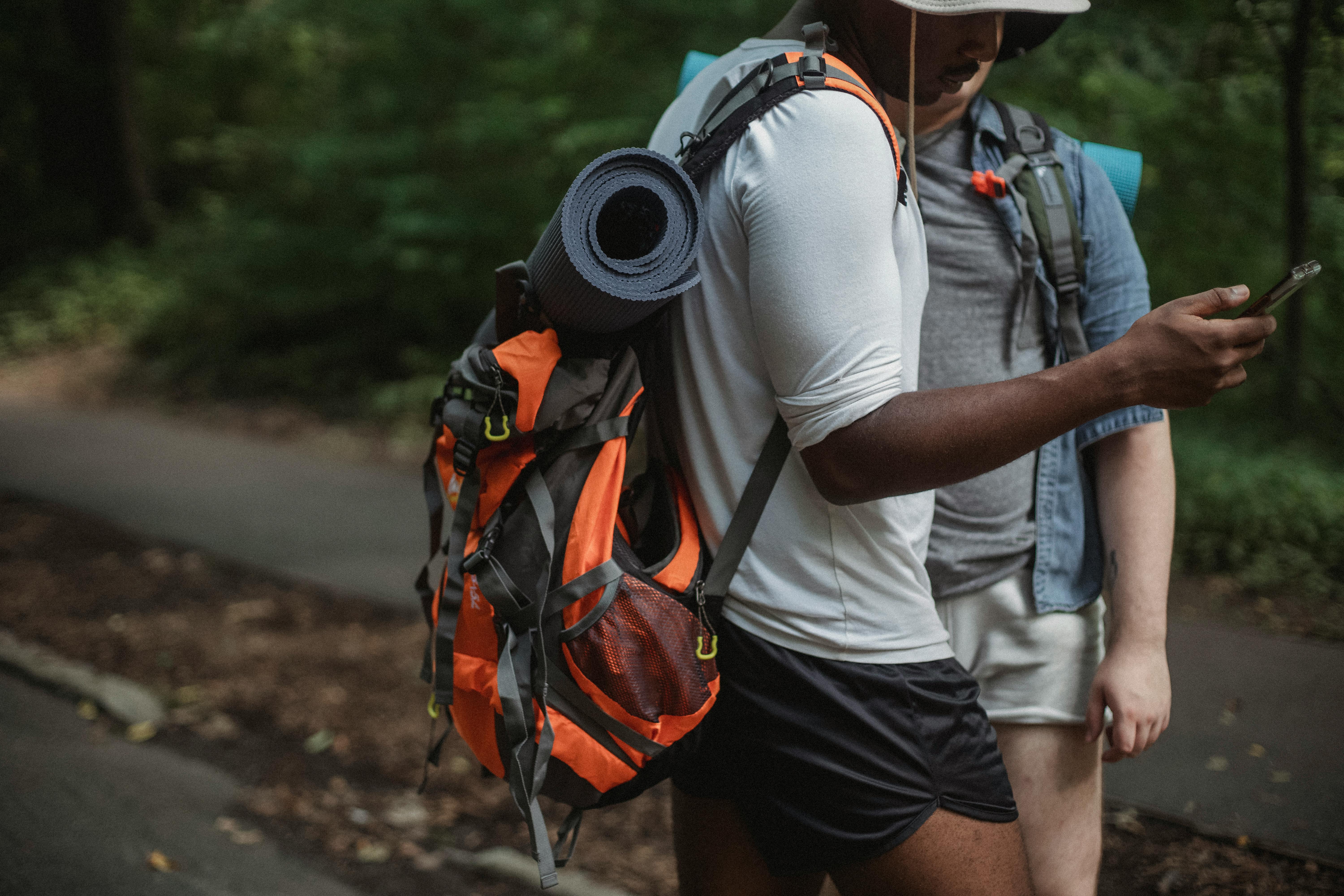 crop multiracial hikers surfing internet on smartphone on walkway