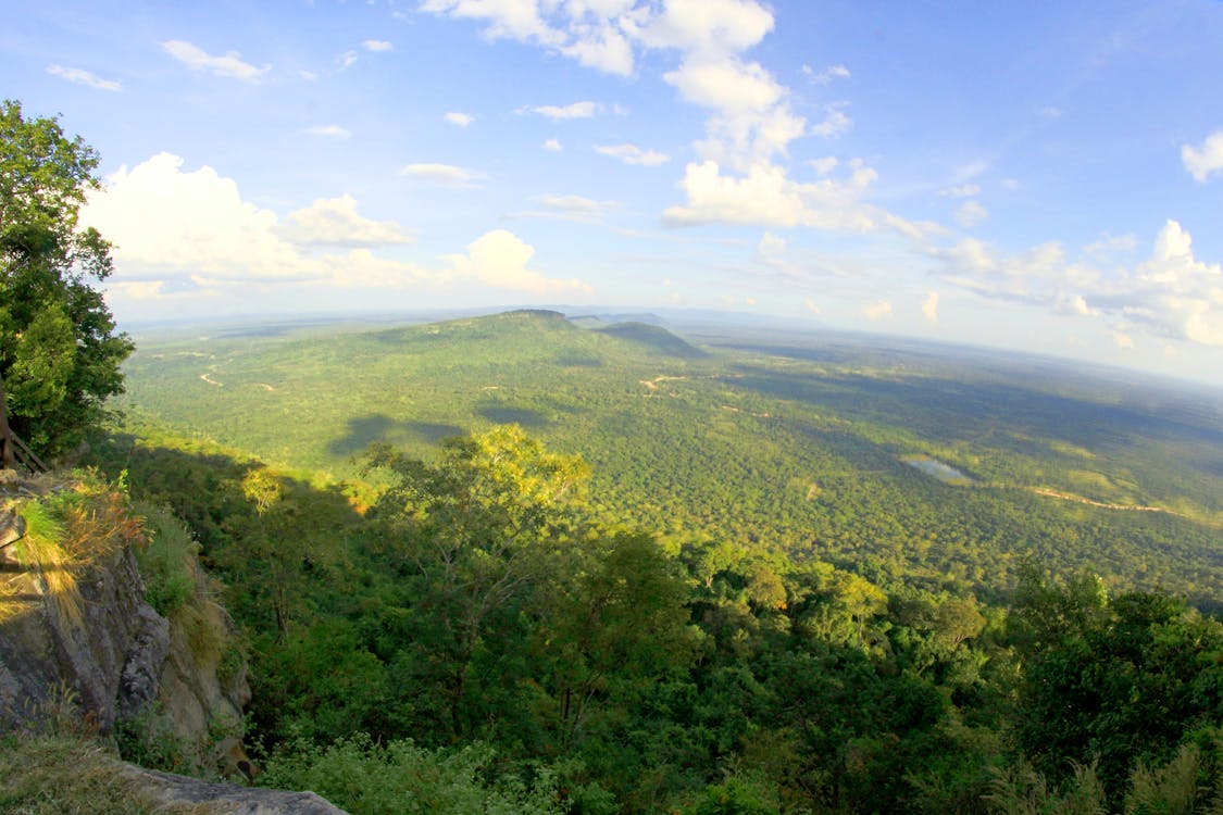 Aerial Photography of Forest Under Blue Sky