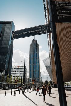 鹿特丹的城市景观融合了现代建筑与街道标志，人们在城市环境中穿行