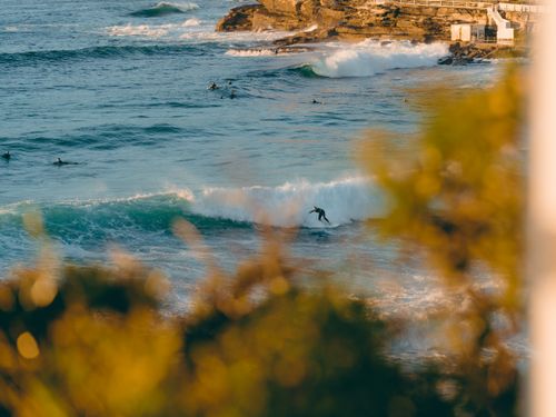 Free Aerial view of surfers riding waves at Bronte Beach, NSW, Australia, during a sunny day. Stock Photo
