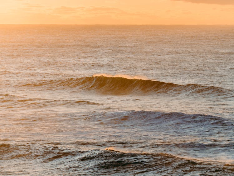 Big Waves On The Sea During Golden Hour