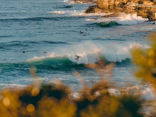 Foto profissional grátis de ao ar livre, aventura, borrifar