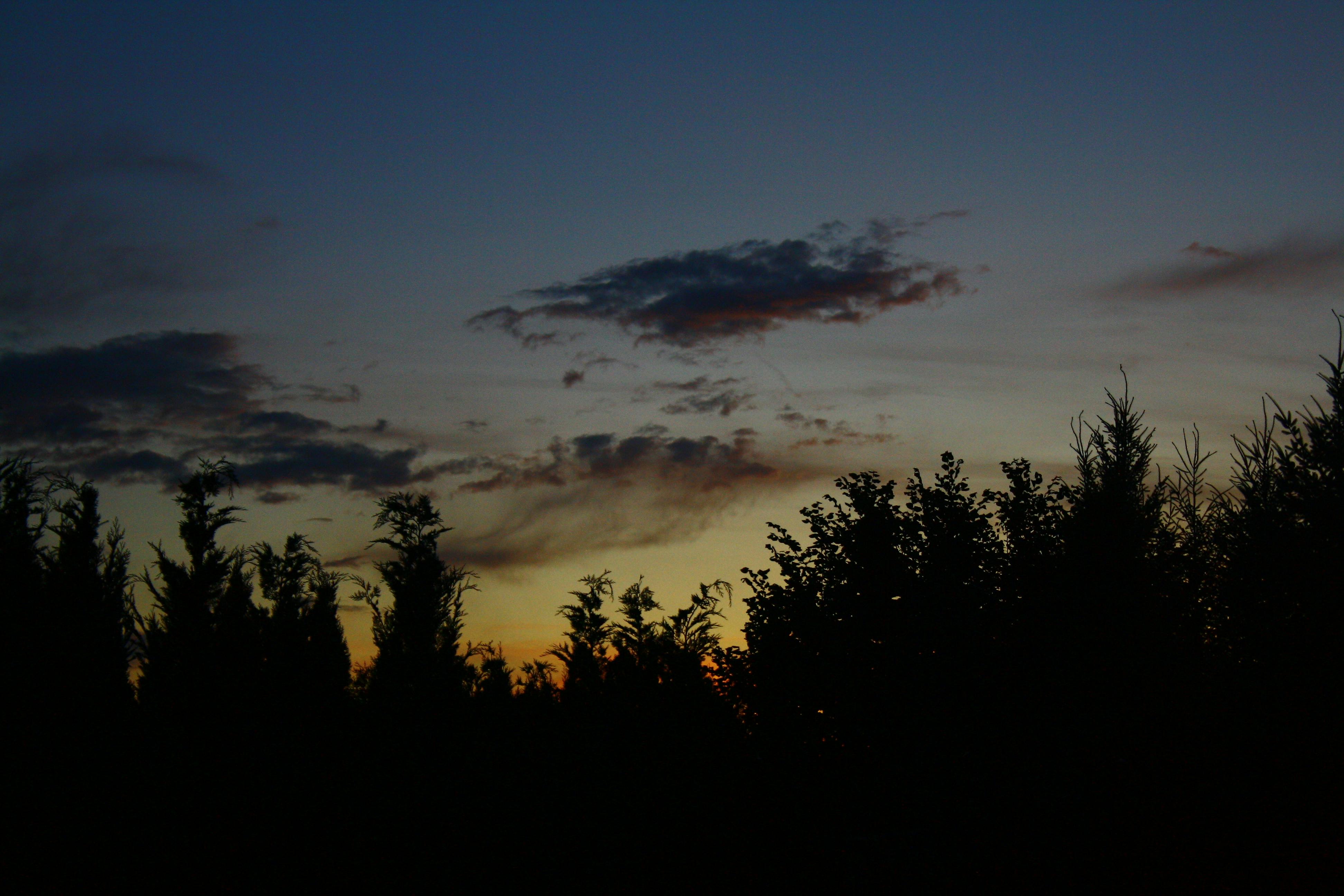 Free stock photo of cloud, dark, night