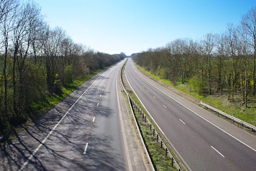 Gray Asphalt Road in Between Bare Trees Under Blue Sky