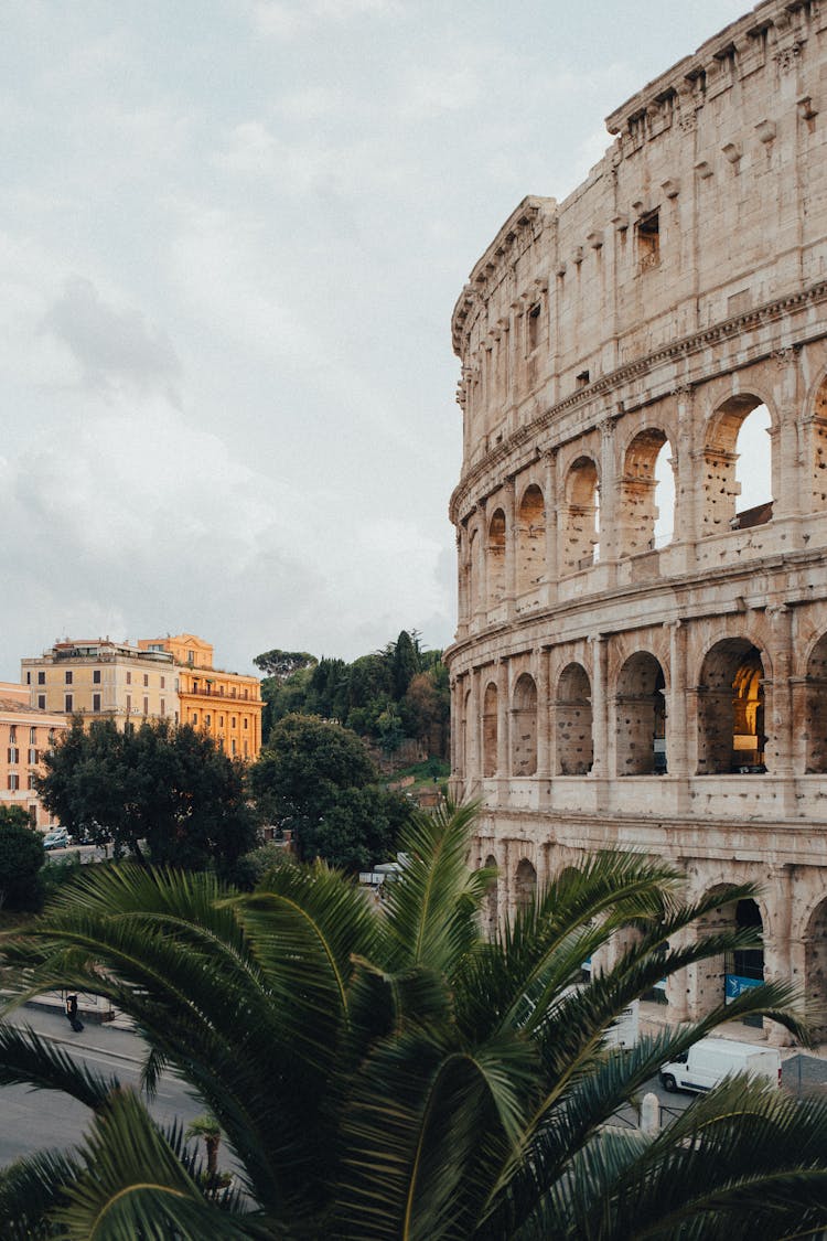 The Colosseum Near Green Trees