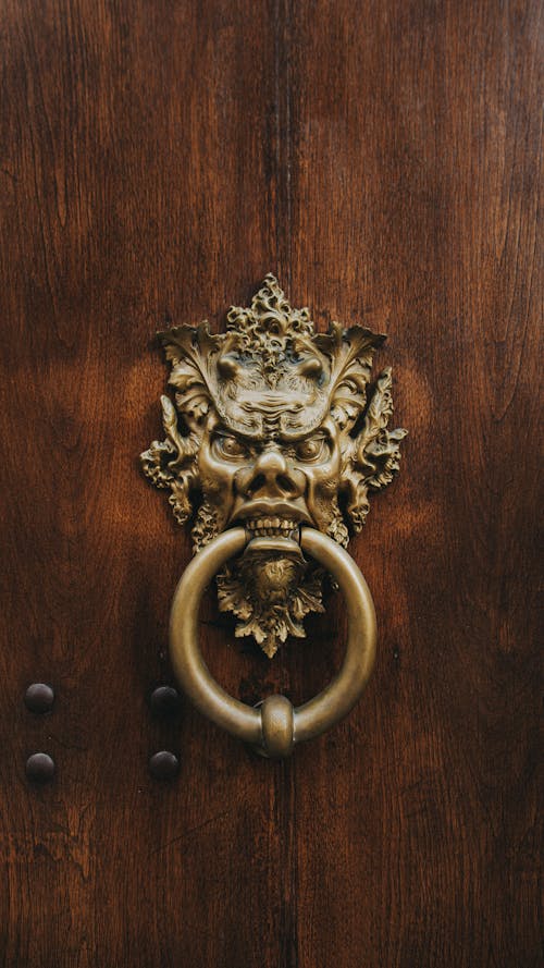 茶色の木製ドアの真鍮ライオンドアハンドル