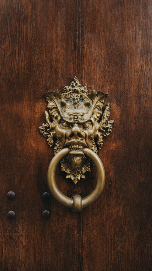 Poignée De Porte Lion En Laiton Sur Porte En Bois Marron