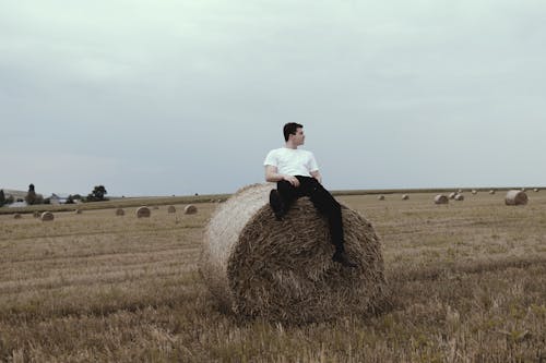 Ingyenes stockfotó álmodozó, farm, fiatal férfi témában