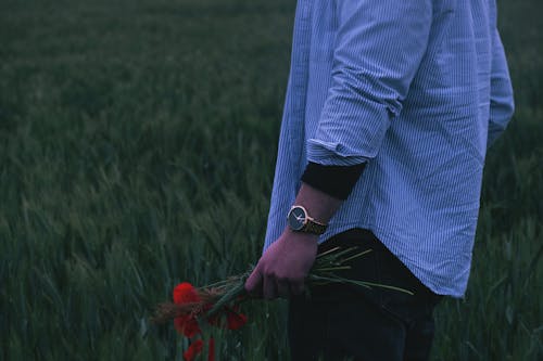 Man Holding Red Flowers Standing on Green Grassland