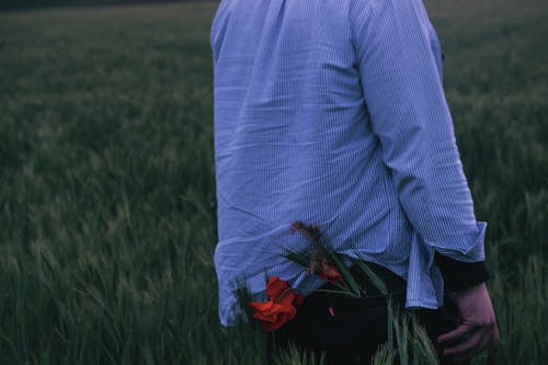 alan, bağbozumu, cep içeren Ücretsiz stok fotoğraf