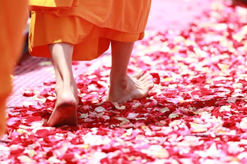 Person Wearing Orange Dress Walking on Petals during Daytime