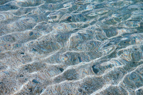 돌, 맑은, 물의 무료 스톡 사진