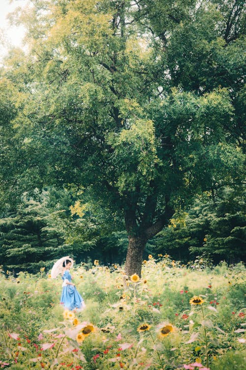 бесплатная Бесплатное стоковое фото с вертикальный выстрел, девочка, деревья Стоковое фото