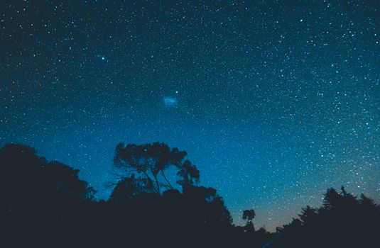 Breathtaking view of a star-filled sky over silhouetted trees in São Thomé das Letras, Brazil.
