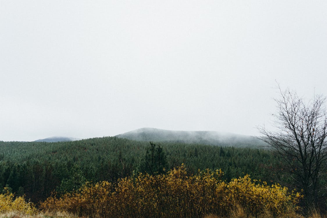 Free Mountains Surrounded by Fogs Stock Photo