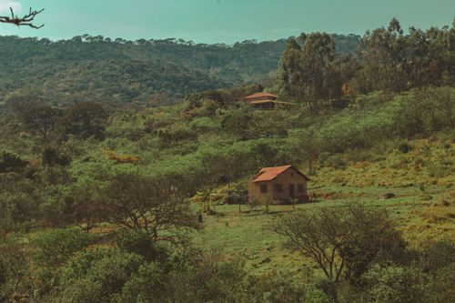Free Scenic view of small old buildings on green meadow with lush green trees in summer Stock Photo