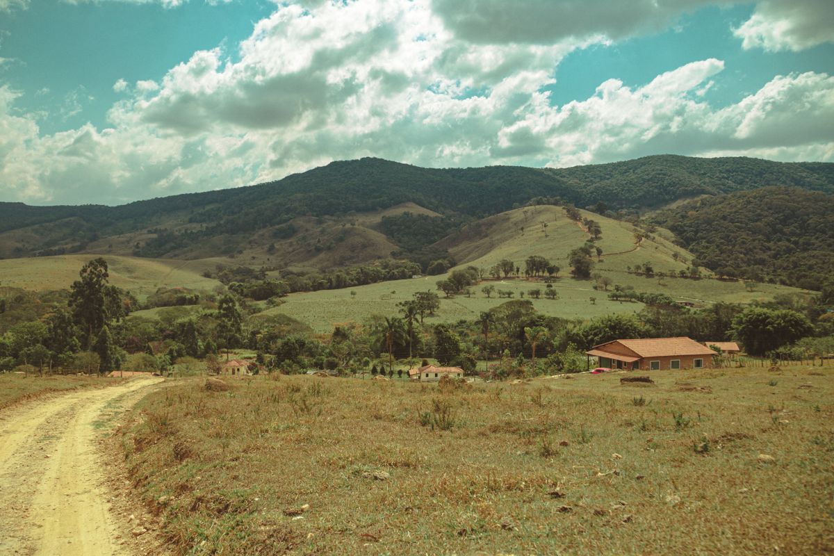 Masías en el campo catalán