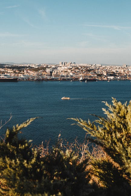 A panoramic view of Auckland's skyline with a focus on the harbor and surrounding restaurants.