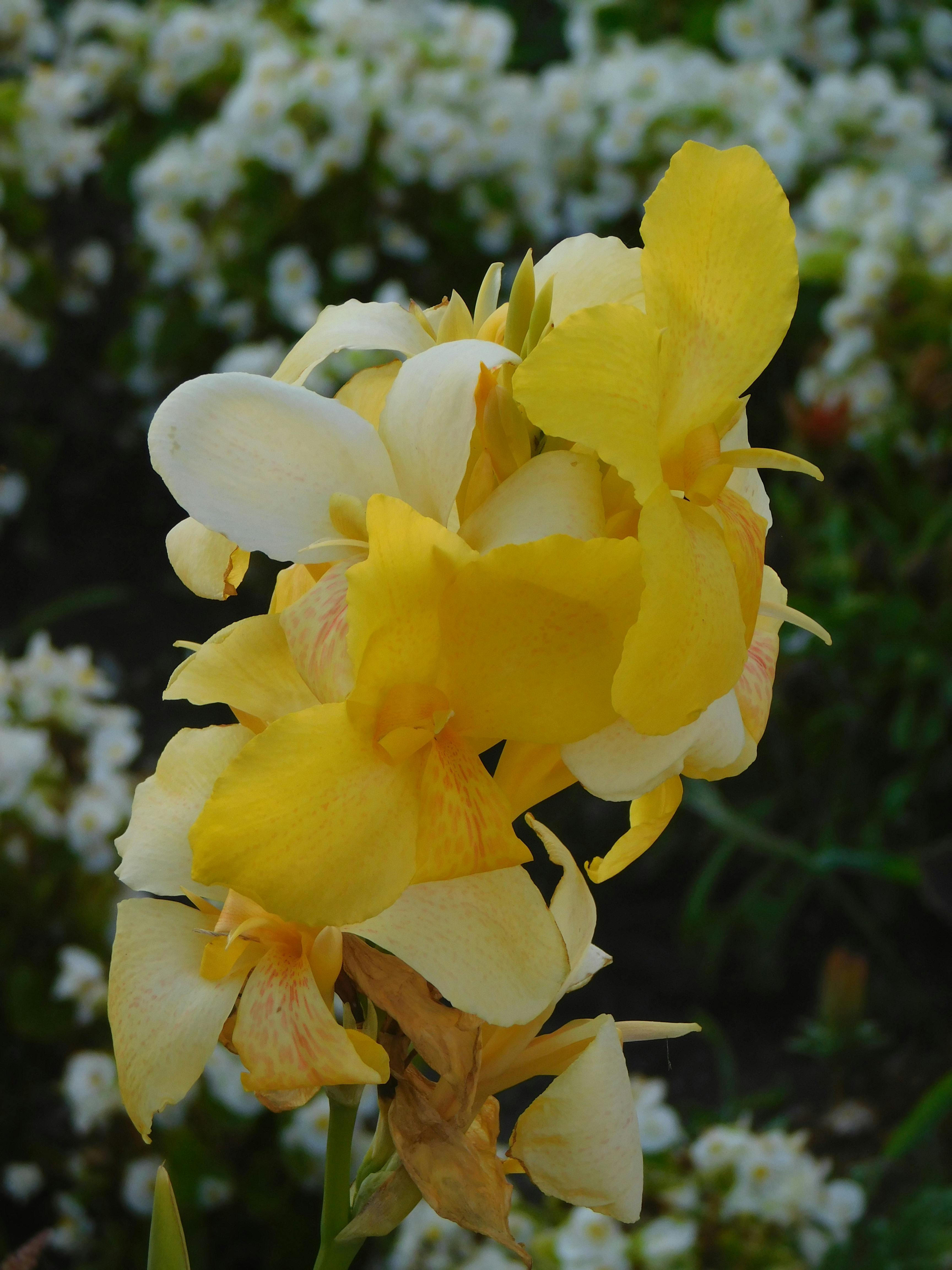 Zmywacz makijażu dla mężczyzn