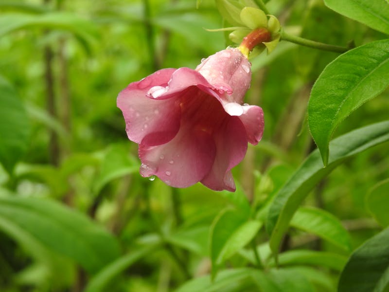 Non-Surgical Procedures: Botox, Fillers, and More