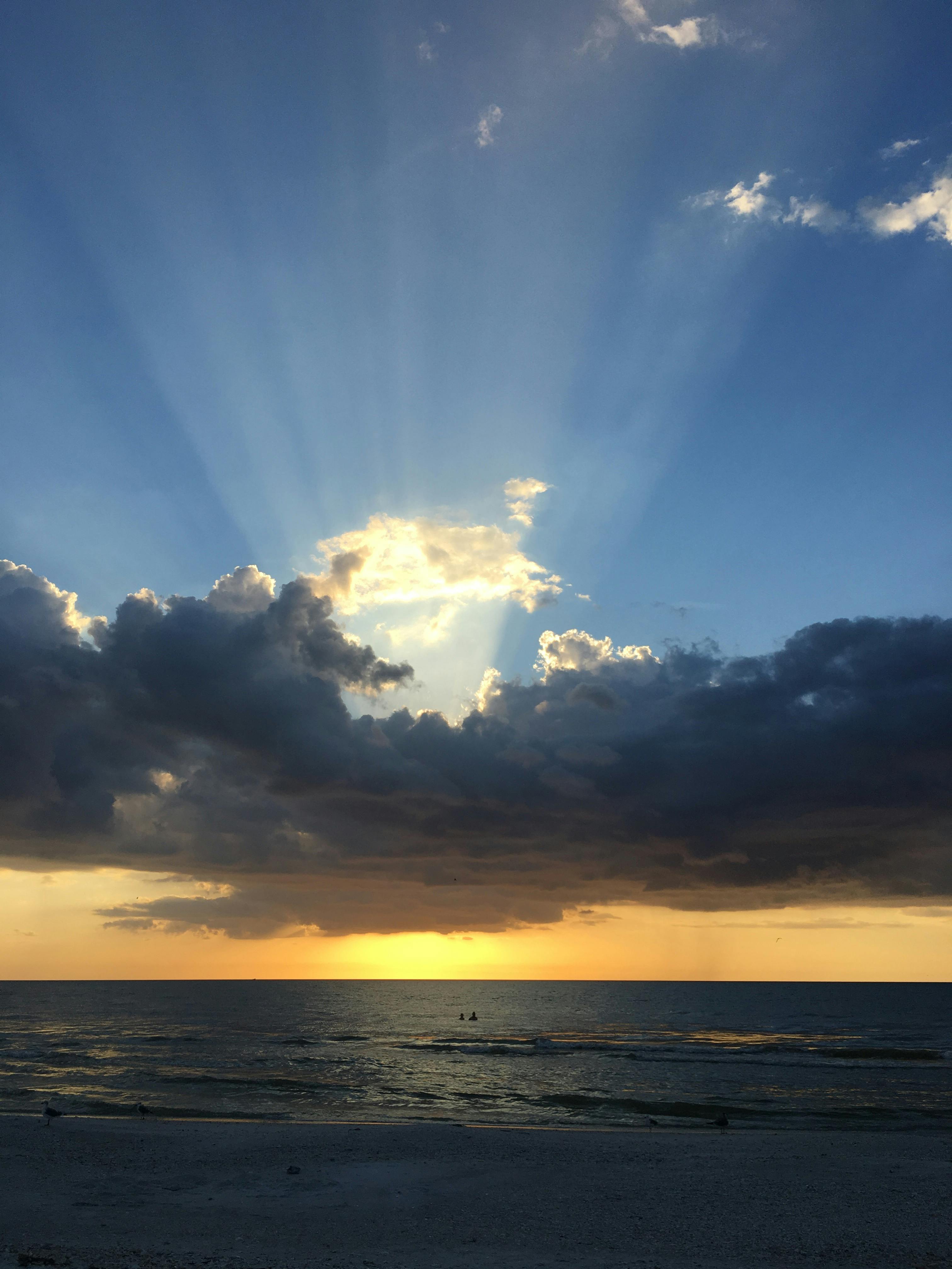 Hair glue and bond building products displayed on table
