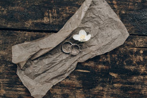 White Rose on Brown Wooden Surface