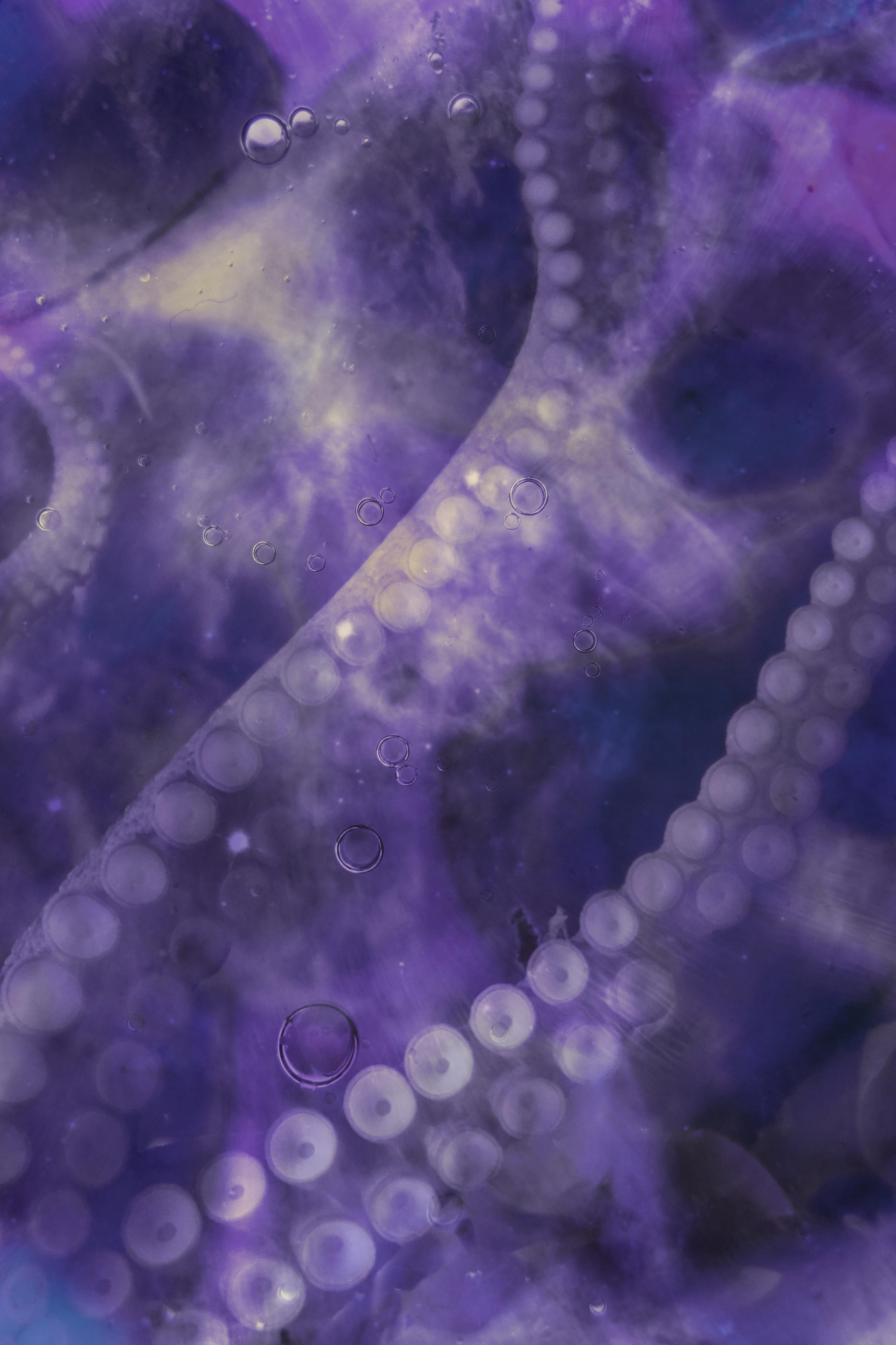 Zadarmo Zblízka Bubliny A Fialová Farba Fotka z fotobanky