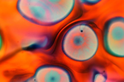 Colorful abstract image showcasing vibrant orange and blue swirls, resembling liquid droplets.
