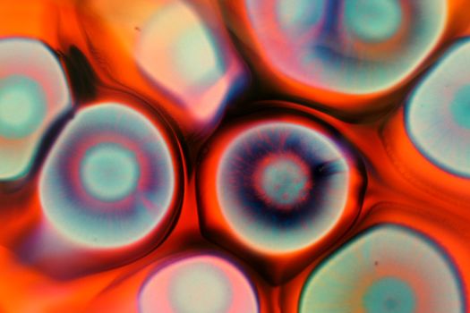 Vibrant abstract close-up image with colorful circular patterns and liquid texture.